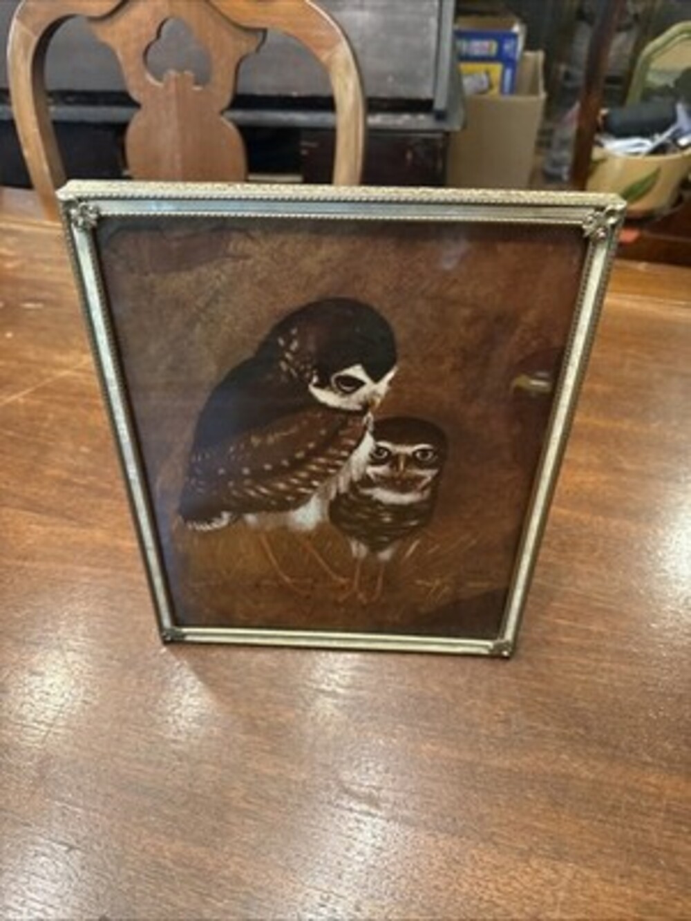 Vintage 1970’s “Burrowing Owls” By Richard Hinger Ornate Brass Frame 7x9